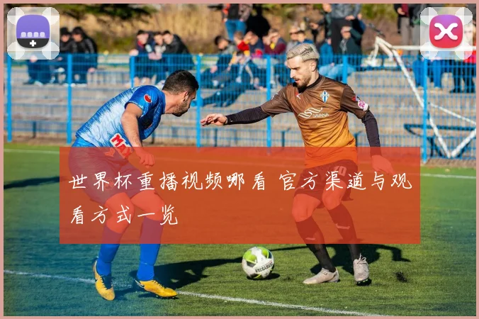 世界杯重播视频哪看 官方渠道与观看方式一览