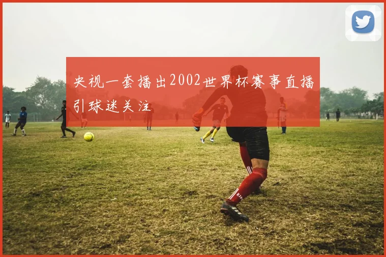 央视一套播出2002世界杯赛事直播引球迷关注